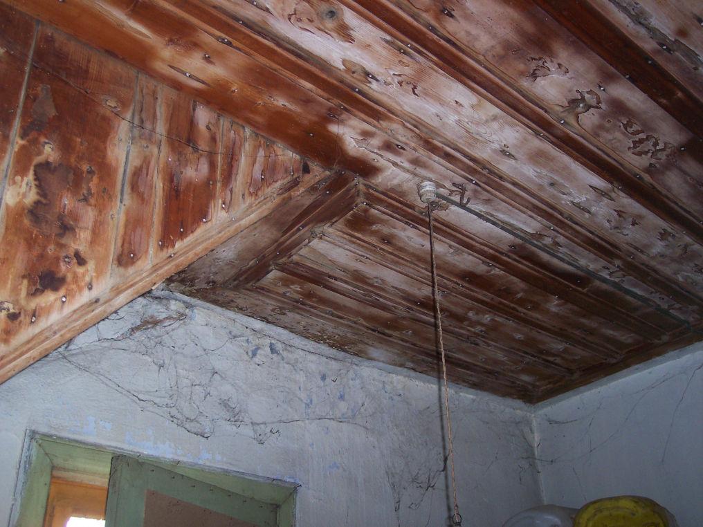 115 Resim 5.2. Yapının zemin kat tavan döşemelerinde görülen küflenme, (Ö. Bozkurt, 2008). Devamlı neme maruz kalan çatı katında mantarların neden olduğu tahribat oldukça ileri düzeydedir.