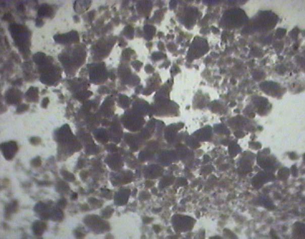 taneciklerin optik mikroskoptaki görüntüsü 5µm Şekil 5.157.