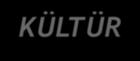*Kültür, bir insan topluluğunun yetenek, beceri, sanat ve gelenekleri top yekun yaşama sistemidir Gustov Klemn).