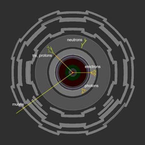 2. ATLAS detektörünün farklı parçalarını öğrencilerinize açıklayın. 2. resim. Çeşitli parçacıkların detektörün farklı kısımlarında nasıl tespit edildiğinin bir örneği.