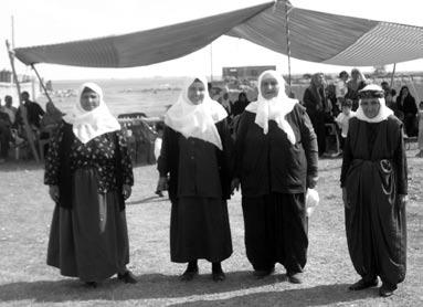 Cardin me diqqet kir ku eşîret tê de hebin. Mesela şêxbizinî, canbegî, reşî û hwd. Li vê derê jî mixabin ku me gundên sewêdiyan nekişandin. Me nikarîbû em biçin. Lê di plana me de hebûn.