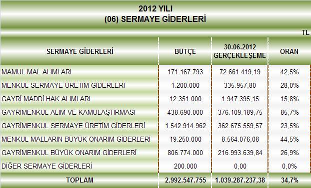 Tablo 11: Sermaye