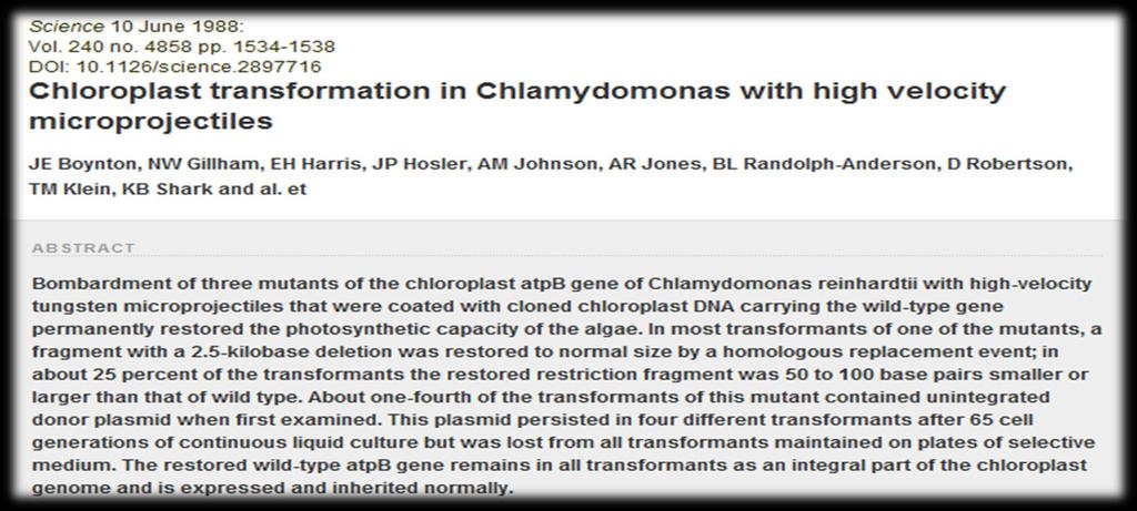 Plastid transformasyonu İlk kez Boynton ve ark.