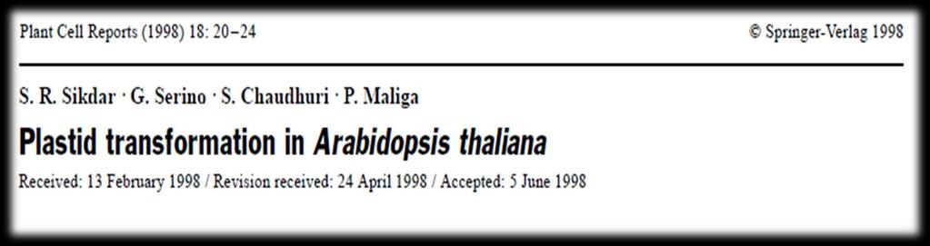 Arabidopsis thaliana plastid transformasyonu Sikdar ve ark. 1998 yılında Arabidopsis bitkisinde plastid transformasyonunu partikül bombardıman yöntemi kullanarak başarmışlardır.