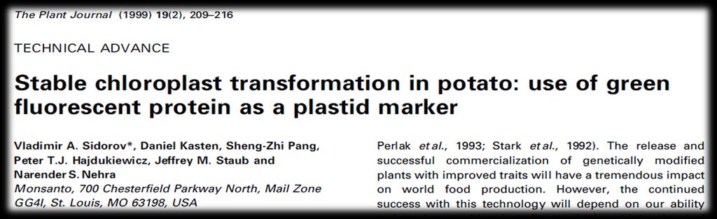 Solanum tuberosum plastid transformasyonu Patates plastid transformasyonu 1999 yılında Vladimir ve ark.