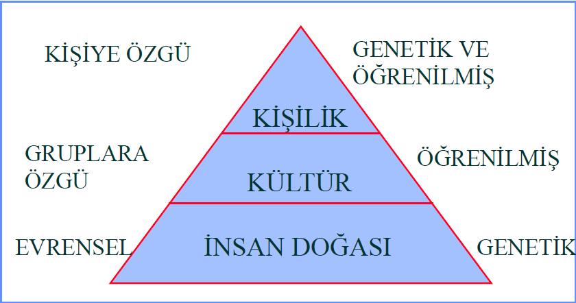 Şekil 26: İnsan ve Kültür Kaynak: Varoğlu, 2009.