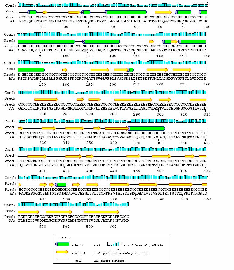 Şekil 3.6.e. CDV/Olgu 42 H