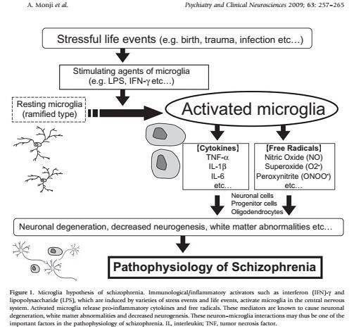Bunun yanında şizofrenideki nöroinflamasyonda mikrogliaların yanında anormal astrosit fonksiyonlarının da etkili olduğu öne sürülmektedir.