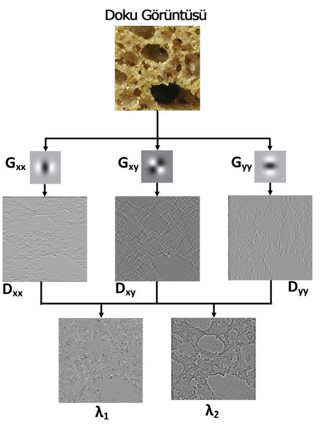 kaynaklanmaktadır. Birinci mertebe türevler karmaşık bir doku görüntüsünü kapsamlı bir şekilde karakterize edememektedir.