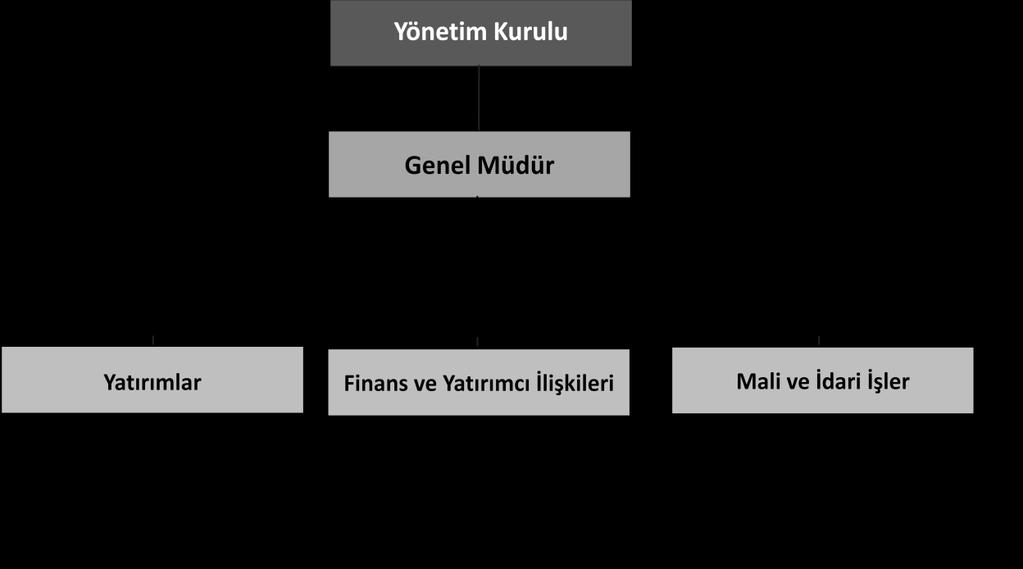 Yönetim ve Denetim Kurulu Üyeleri, Ana Sözleşme de belirtilen usul ve yetkiler çerçevesinde görev yapmaktadırlar.