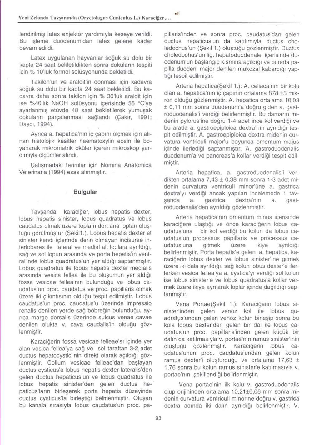 Y('ni Zelanda T3\'~ lii nd3 (OrFlol:lgus Cuniculus I,., K:lr:ll'i!:rr... lendirilmi~ latex enjektor yardlmlyla keseye verildi. SU i~leme duodenum'dan latex gelene kadar devam edlldi.