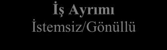 2005:15 Şekl: 1 İş Gücü Pyasasında Sosyal