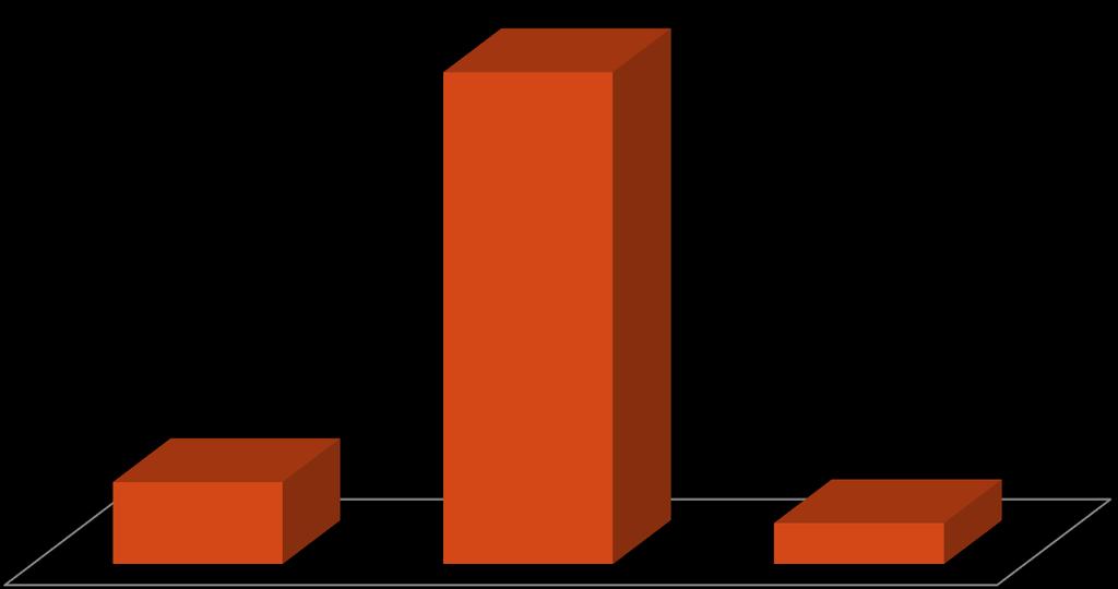 FORMLARA İLİŞKİN GÖRÜŞLER (N=15) 12 2 1 Form