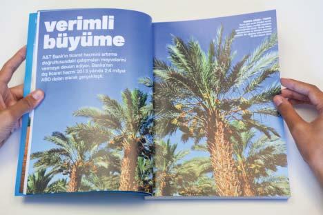 yararlanmaya karar verdik. Öncelikle Tunus, Libya, Cezayir gibi bölge ülkelerde yetişen ağaçları araştırdık.
