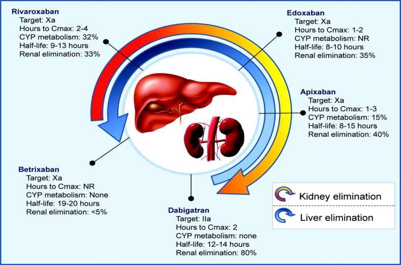 Yeni geliştirilen oral antikoagülanların farmakokinetikleri