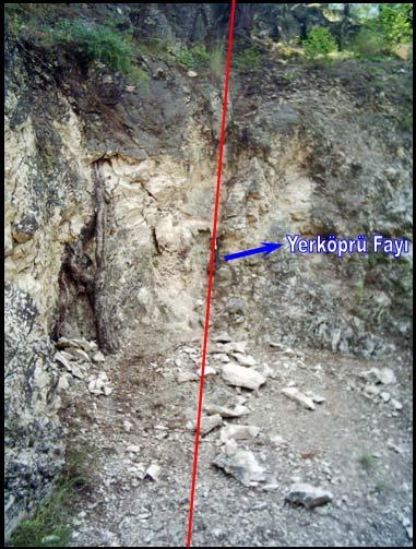 Yerköprü Fayı: Çakıt I fayı tarafından kesilen bu fay Yerköprü mevkiinde gözlenmektedir. Yerköprü fayın doğrultulu K 35 D olup, düşey bir faydır (Resim 4.15)