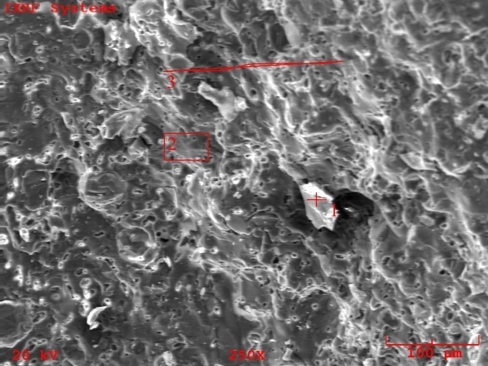 76 6.9.2. EDS analiz sonuçları Resim 6.9 de, % 0,1 borik asit katkılı pişmiş massenin SEM görüntüsü üzerindeki 1.