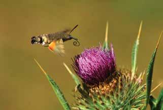 Haziran 2017 Ayın Fotoğrafı etkinliğimize 15 fotoğrafçı, 55 fotoğraf