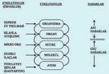 Do al ve Yapay Radyasyon Dozlar n n Karfl laflt r lmas Tüm halk için, yapay radyasyon dozuna 2004 y l da en büyük katk röntgen fl nlar yla yap lan t ptaki Tan sal Radyolojideki uygulamalardan