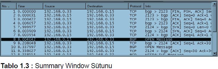 SUMMARY WINDOW Bu dosyalar daha ayrıntılıda incelenebilir. Herhangi bir dosya seçilirse "Packet Details" ve "Packet Bytes" pencereleri açılır.