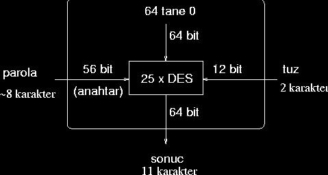 4.1 Parolaların Şifrelenmesi