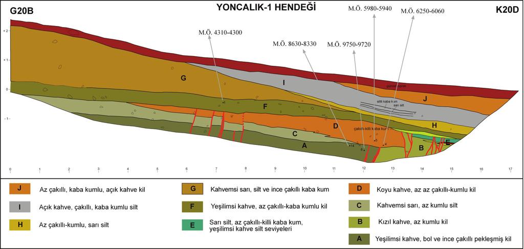 Taylan SANÇAR, H. Serdar AKYÜZ Şekil 7. Yoncalık-1 hendeğinin batı duvarının stratigrafisi, yapısal unsurları ve hendekten alınan numunelerin C14 yaş sonuçları. Figure 7.