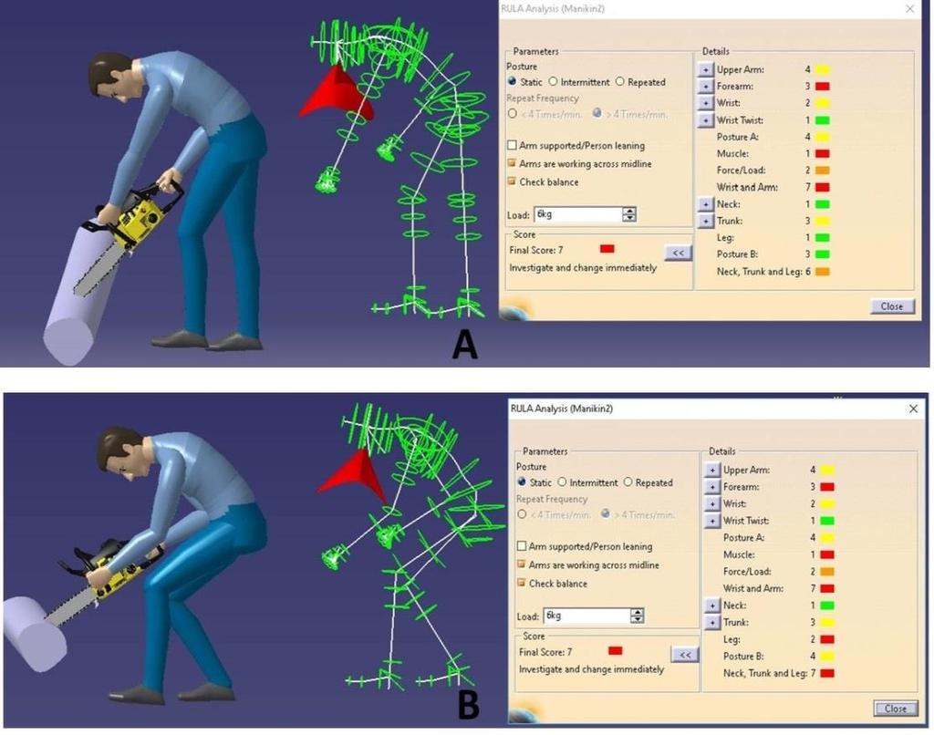 Ergonomik Analiz Sonuçları Orman işçilerinin motorlu testere kullanımları