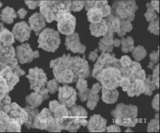 üretilmiģ, küresel formda Ni tozu (% 99.8 saflıkta ve ortalama 4-7 µm) ve altlık malzemesi olarak sade karbonlu (AISI 1010) çelik kullanılmıģtır.