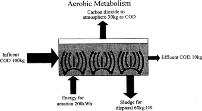 Fig. Comparison of mass balance of carbon utilization in aerobic and anaerobic processes (Wheatley et al. 1997).