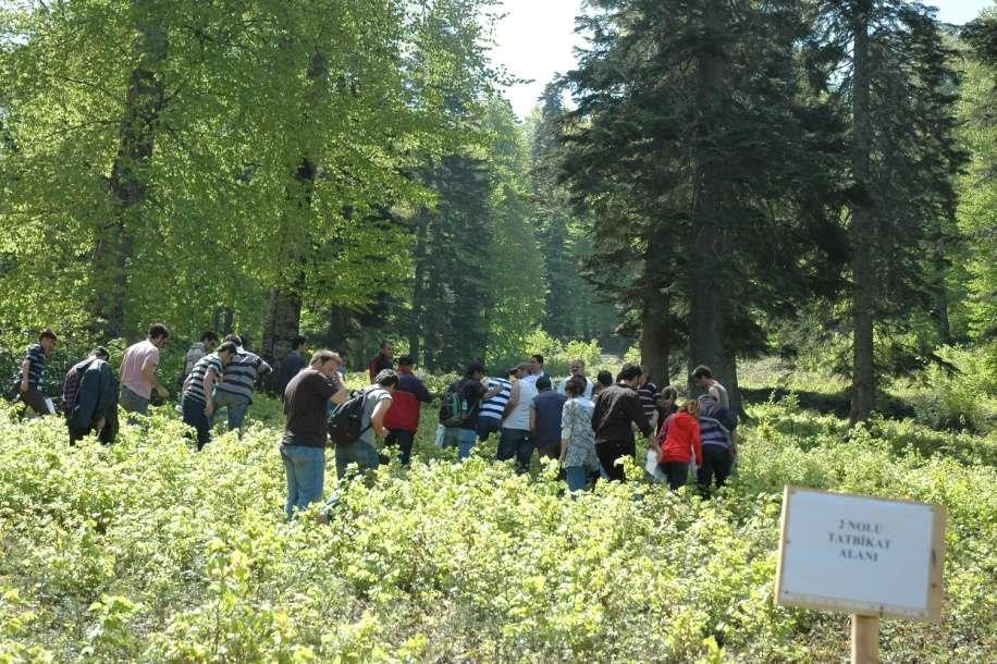 Boşaltma kesimlerinin ardından gençlik kontrol edilir ve zarar görmüşler uzaklaştırılır.