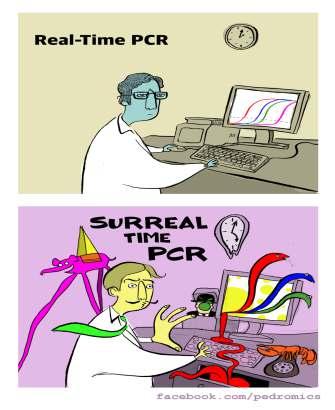 Real Time PCR Avantaj Duyarlı, özgül ve hızlı KanCtaCf sonuç Kontaminasyon düşük Pek çok