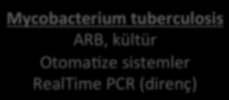 çıkarılmış Mycobacterium tuberculosis ARB,