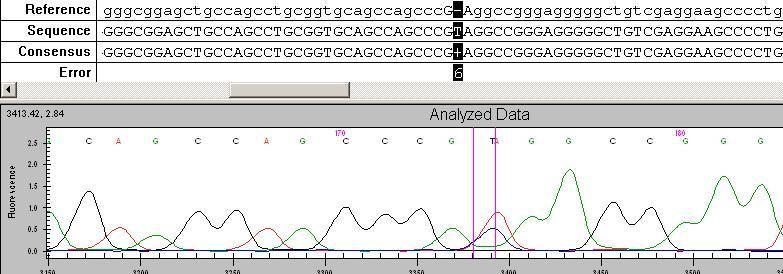 de DNA dizi analiz görüntüsü.