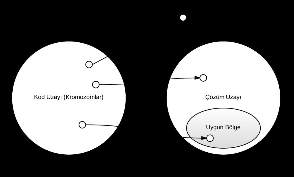 39 Kodlama yaklaģımları için kromozomları ve çözümleri oluģtururken üç kritik kuralı göz önünde bulundurmak gerekir.