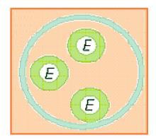 Mikrokapsüllerin çapı 1-100 μ arasında değişmektedir. Şekil 1.11 de enzimin bir kapsül içinde tutuklanması görülmektedir. Şekil 1.11 Enzimin bir kapsül içerisinde tutuklanması Bu yön temle immobilize edilmiş enzimler çift seçimlilik gösterebilirler.