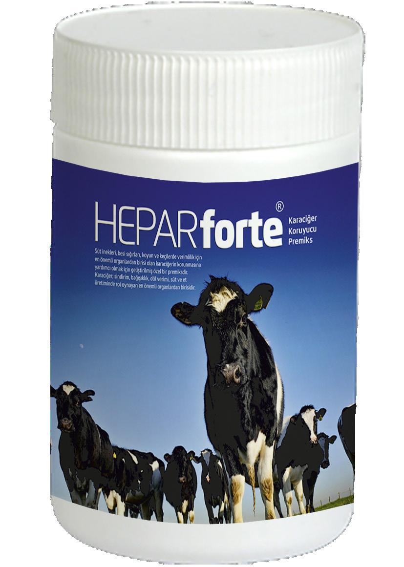 Karaciğeri Koruyucu Premiksi HEPAR FORTE Faydaları Süt inekleri, besi sığırları, koyun ve keçilerde verimlilik için en önemli organlardan birisi olan karaciğerin korunmasına yardımcı olmak için