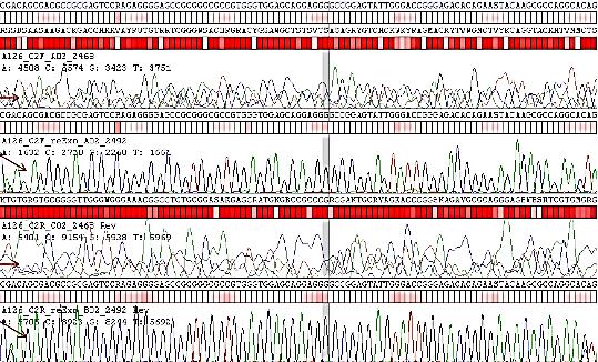 3 PCR ürününün temizlenme sorunu