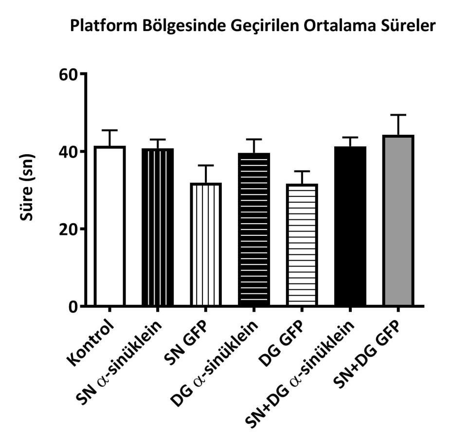 52 Şekil 4.5. Kontrol, alfa-sinüklein ve GFP gruplarının beşinci günde platform bölgesinde geçirdikleri ortalama süreler.