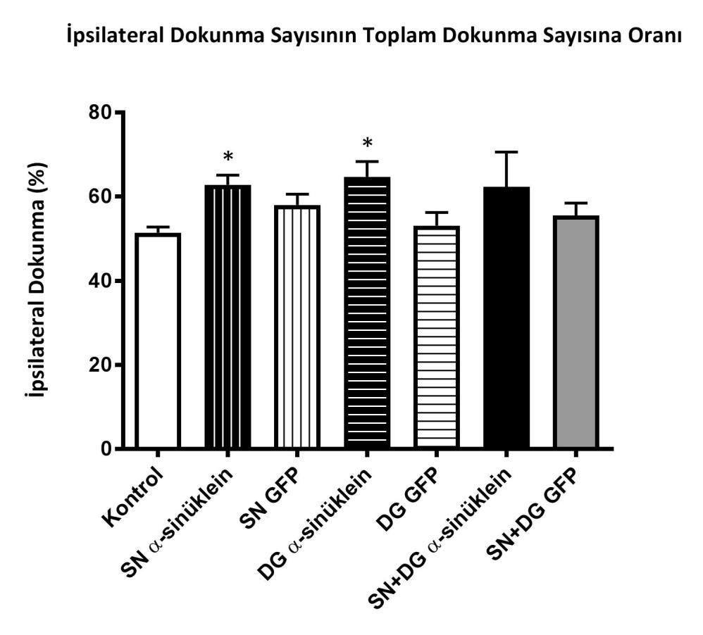 55 Şekil 4.8. Kontrol, alfa-sinüklein ve GFP gruplarının ipsiletaral ön ayak kullanma yüzdeleri.