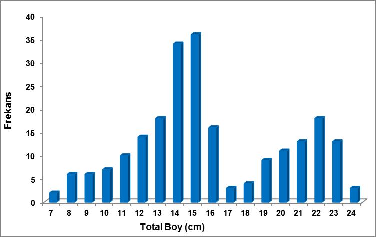 Şekil 4.1. Çıldır Gölü Acanthobrama microlepis popülasyonuna ait total boy-frekans dağılımı Şekil 4.2.