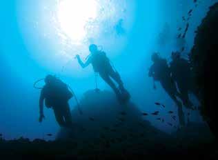 Scuba-Diving e başlangıç, kesinlikle profesyonel deneyime ve sertifikaya sahip eğitmenlerden alınacak eğitimle başlamalıdır.