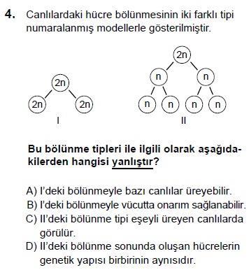 TEOG SINAV