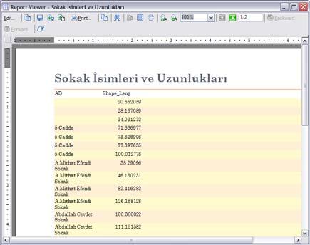 bu örnek için başlığa Sokak İsimleri ve Uzunlukları yazınız. 27.