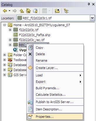 12. Catalog penceresinde REC_f22d22d3c.tif dosyası üzerinde sağ tıklayarak Properties i seçiniz.