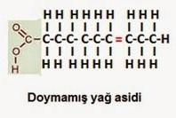 3. Yağ asitleri Yapısında çift bağ bulundurmasına göre, Doymuş