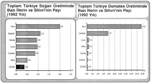 Soğan ve domates üretiminde de Silivri Türkiye'de küçümsenemeyecek bir paya sahiptir. Ancak su sorunu verimin artması önünde en önemli engellerden birisidir.