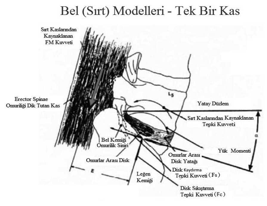 İntervertebral Disk Basıncı İntervertebral Disk Basıncı Tablo 7.