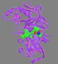 renin (Pro)renin receptor RI binds at active