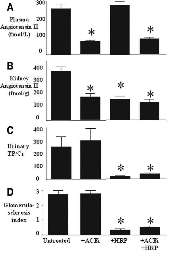 Diyabetik nefropatide (P)RRin bloker rolü AT1 receptor KO mice HRP works while