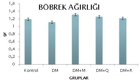 4.3.2. Böbrek ağırlığı (gr) Gruplar böbrek ağırlıkları açısından karşılaştırıldığında istatistiksel olarak anlamlı bir fark bulunmadı (p=0.062).